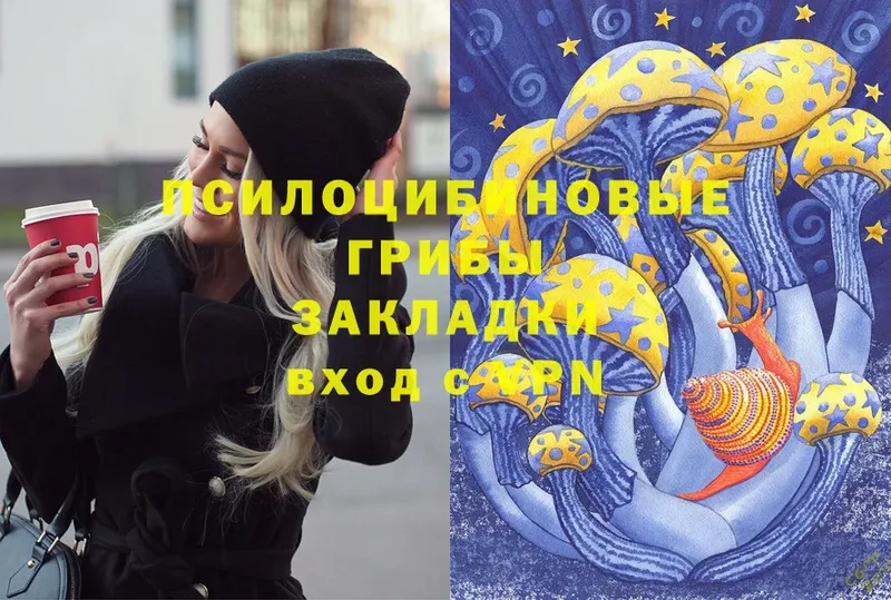 Галлюциногенные грибы Magic Shrooms  Барабинск 